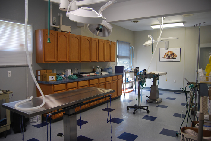 Surgical Suite